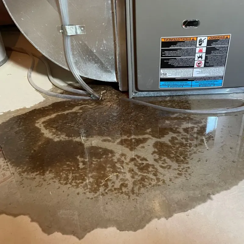 Pipe Burst and Leak Restoration in Biddeford, ME